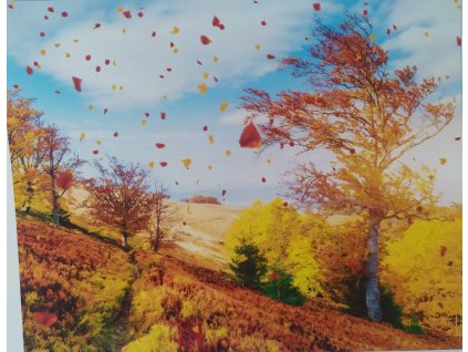 Panel kočárkovina Podzimní stromy 40x50cm