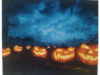 Panel kočárkovina Strašidelné dýně 40x50cm