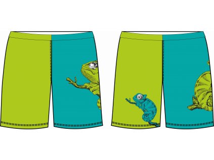 VIZUALIZACE kraťasy chameleon