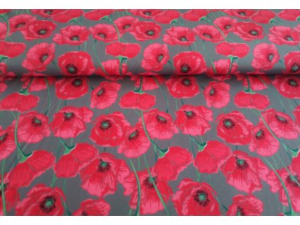 Vlčí máky na tmavě šedé