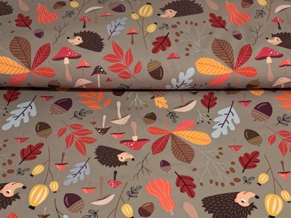 Ježci a houbičky na šedé