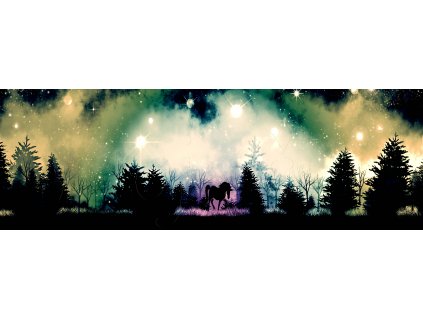 Panel balónová sukně  Soumrak nad lesem