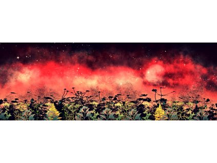 Panel balónová sukně Louka a červená obloha