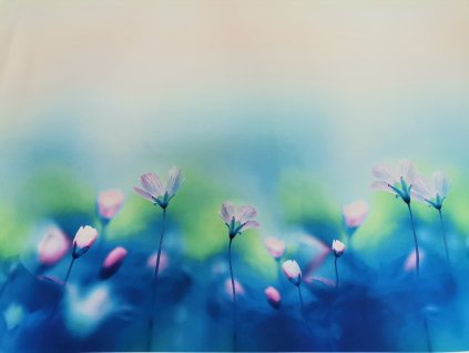 Panel balónová sukně Zvonky