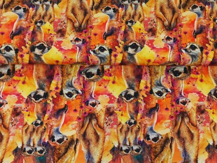 Akvarelové surikaty