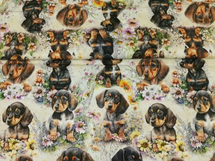 Jezevčíci - akvarelová štěňátka