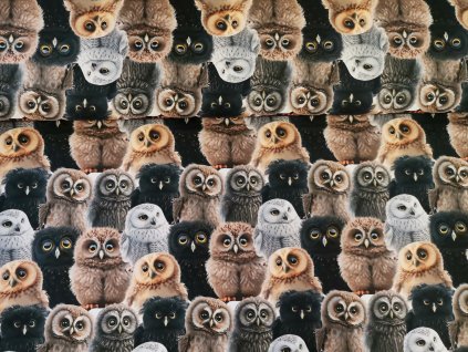 Chundelaté sovičky