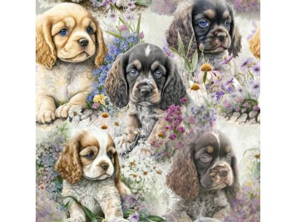 Snímek obrazovky 2023 02 21 080737