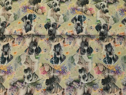 Štěňátka Německá doga