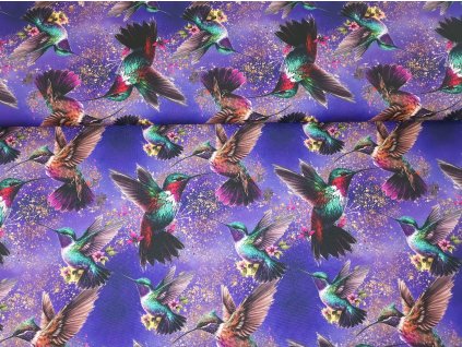 Magičtí kolibříci