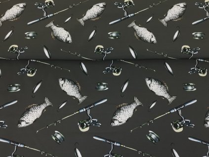 Ryby a pruty na antracitové