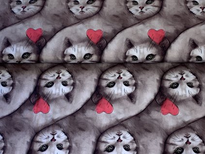 DCD9621D A588 468B 910E 82367F30BA97