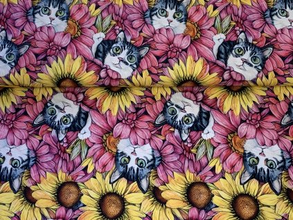 7ECB378A B226 4DDF AD29 2888D4DF7142