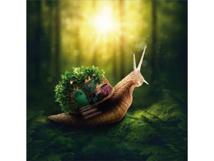 Dětský panel - Šneček s domečkem 50x50