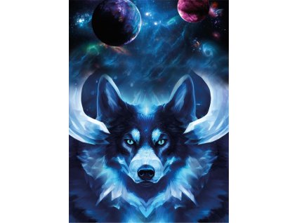 Dětský panel - Galaktický vlk 50x70