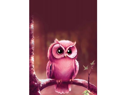 Dětský panel - Růžová sovička 50x70