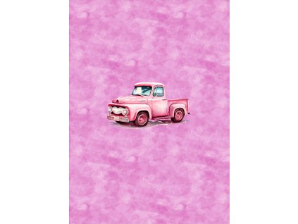 Dětský panel - Růžové auto 50x70