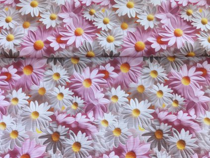 3D bílé a růžové kopretiny