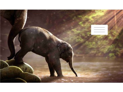 slůňátko jde do vody A4