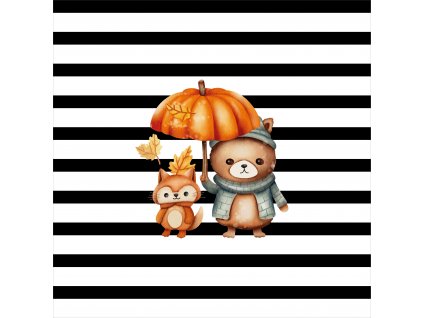 Medvídek a veverka 50x50