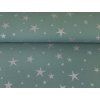 Teplákovina s elastanem Stříbrné vánoční hvězdy na eukalyptu