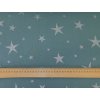 Teplákovina s elastanem Stříbrné vánoční hvězdy na eukalyptu