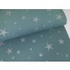 Teplákovina s elastanem Stříbrné vánoční hvězdy na eukalyptu