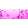 Motýlci na růžové 150x50
