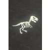 kostra dinosaura (2)