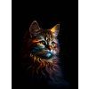 Duhove kotatko 60x80 eshop