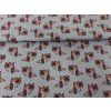 úvodní ok