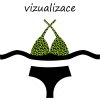 VIZUALIZACE OK
