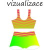 Vizualizace