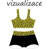 Vizualizace