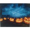 Panel kočárkovina  Strašidelné dýně 40x50cm