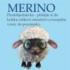 merino