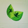 Dětský panel - Žabky na listu 50x50