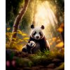 velká a malá panda 50x60 eshop