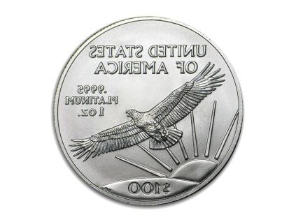 5803 1 oz american eagle platinum mixed years