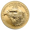1 oz american eagle gold coin 2025 2