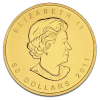 4263 1 1 oz maple leaf gold damaged