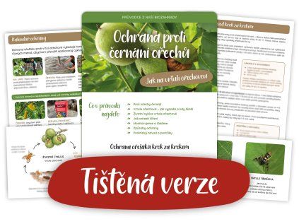 Ebook tiskteny