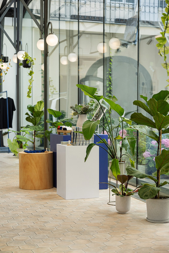 Novinky v Palackého 7