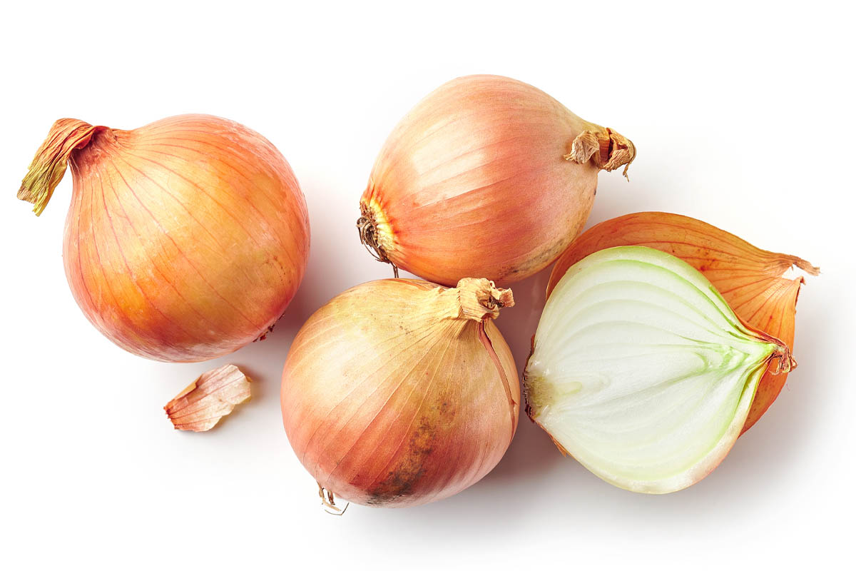 Cibule – hojně využívaná zelenina, koření i lék