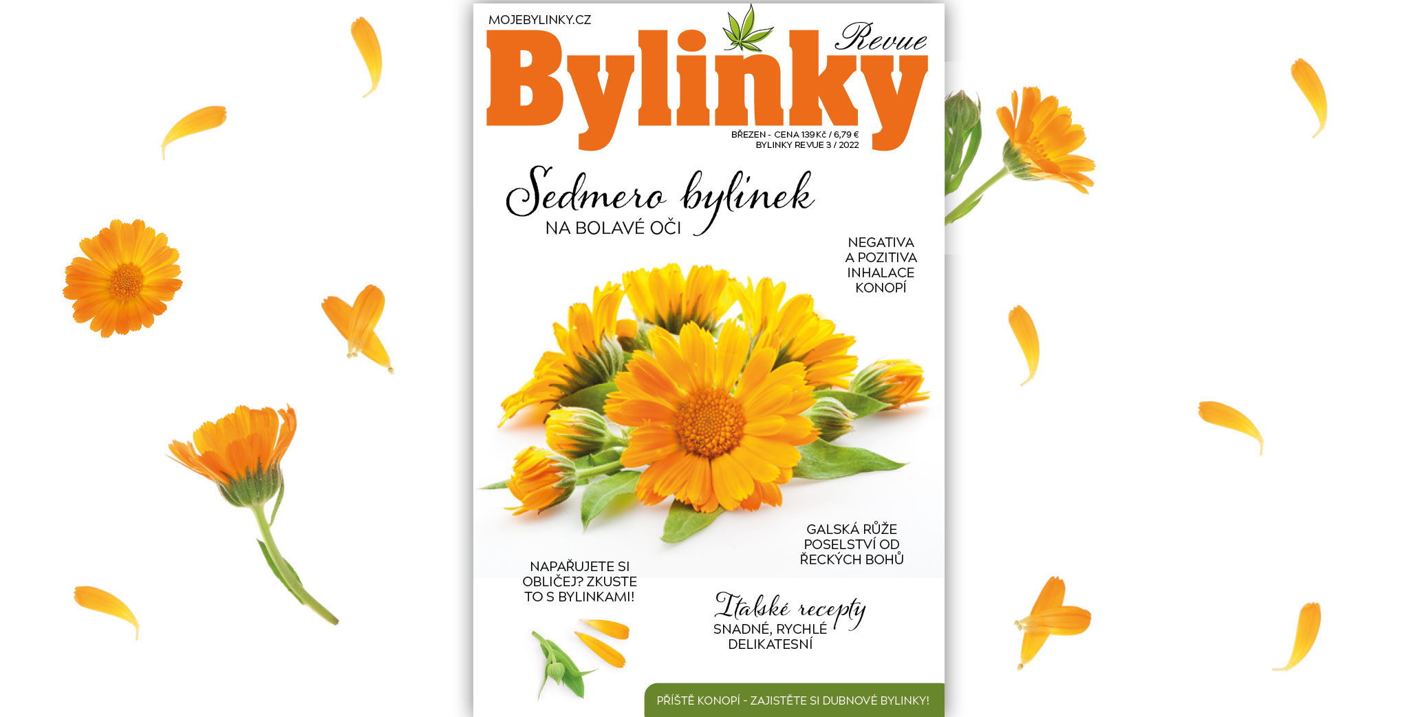 Bylinky revue, seznam prodejen