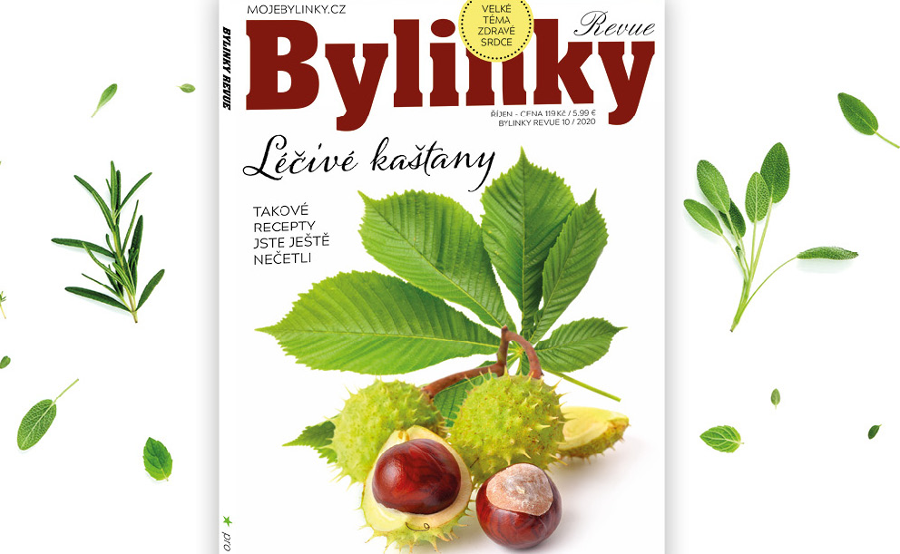 Podzimní Bylinky jsou právě v prodejnách tisku