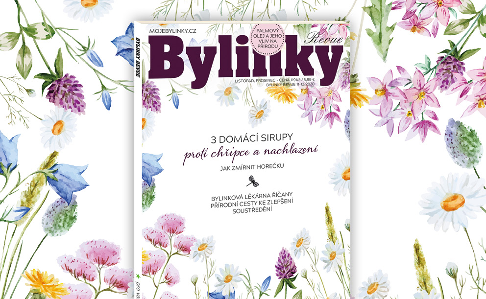 Bylinky jsou voňavá radost, něžný dotek přírody, lahodný pomocník v kuchyni a domácí lékárně.