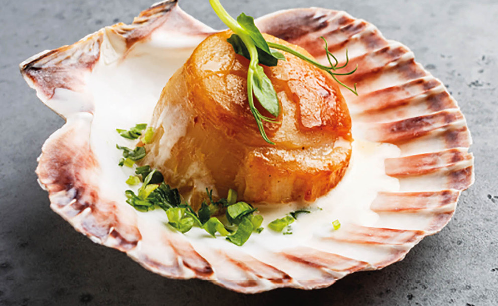 Filosofie pro život: Hédonistická filosofie Aristippa z Kyrény