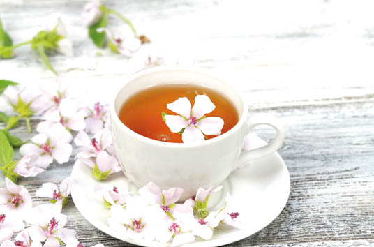 Bylinkoví bojovníci s chřipkami a nachlazením