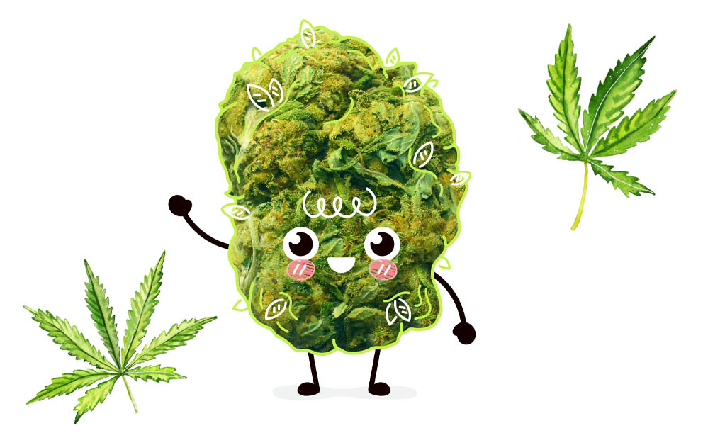 Léčivá rybí pomazánka od tety Nadi. Příběh ze života.